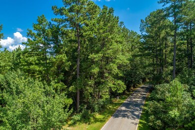 Drone View (1 of 22)