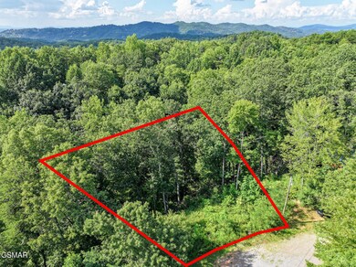 199 Tsali Way, Sevierville, TN 37876 - photo 7