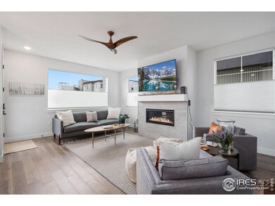 468 Osiander St, Fort Collins, CO 80524 - photo 6