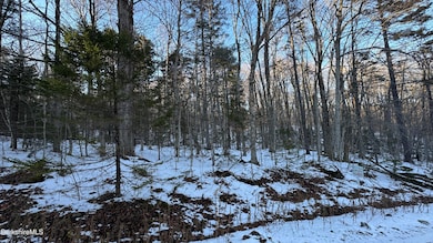 lot139&140 Bergrucken Ln, Readsboro, VT 05350 - photo 3