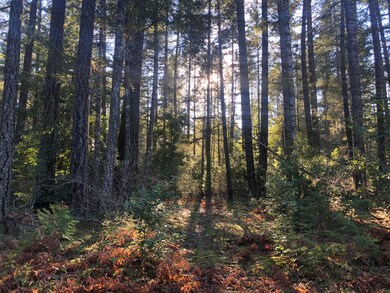 IMG-7487