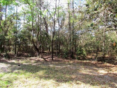 00 SW 93 Lane Rd, Dunnellon, FL 34432 - photo 2