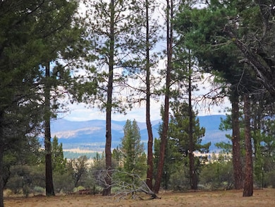 48070 Partin Dr, Beatty, OR 97621 - photo 5