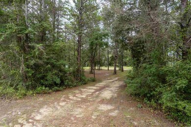 0 Sea Meadows Dr, Perry, FL 32348 - photo 3