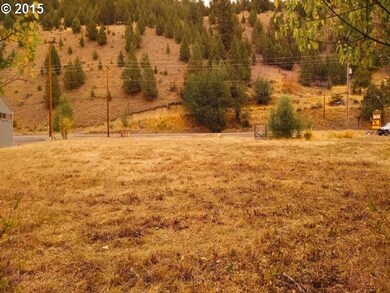 239 S Canyon City Rd E, Canyon City, OR 97820 - photo 6
