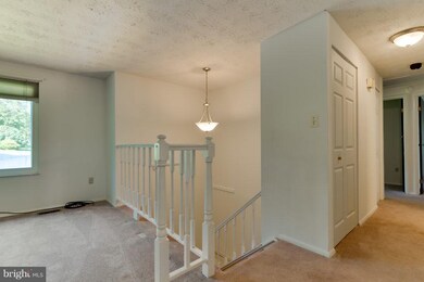 3060 Railroad Vine Ct, Fairfax, VA 22031 - photo 3