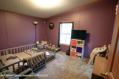 8072 Hall Rd, Bellevue, MI 49021 - photo 7