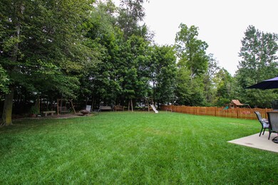 Backyard- 2