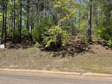 102 Westminster Dr, Oxford, MS 38655 - photo 2