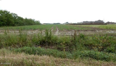 Lot 1