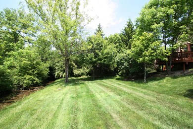 Beautiful Yard