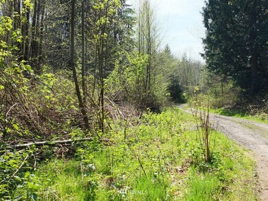 unlisted-address, Stanwood, WA 98292 - photo 5