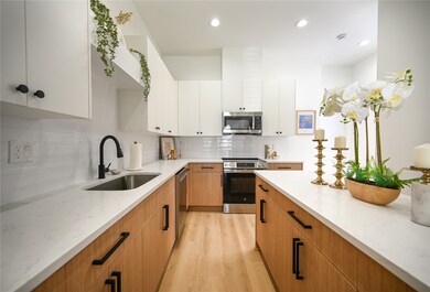 Contemporary kitchen with modern Euro-style cabine