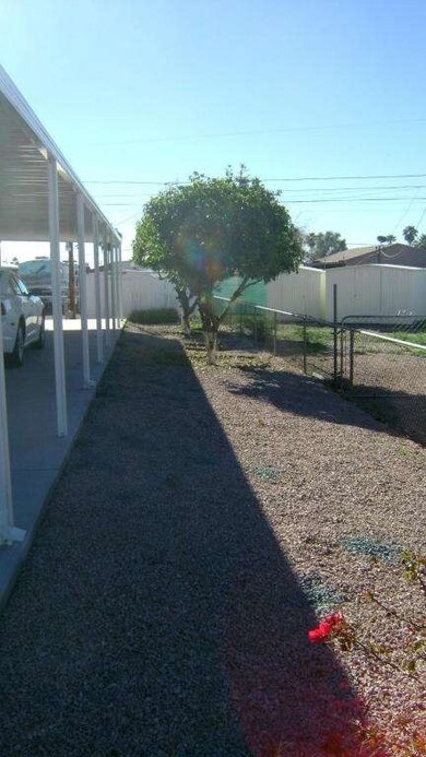 SIDE WITH FRUIT TREES