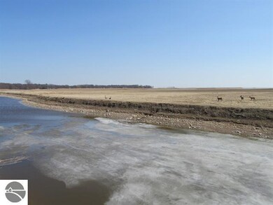 Lots of wildlife