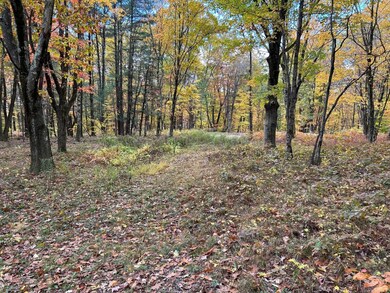 1 W Hill Rd, Austerlitz, NY 12017 - photo 5