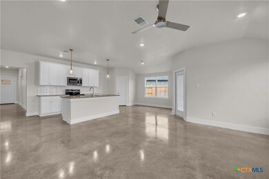 924 Peppermint Dr, Temple, TX 76501 - photo 3