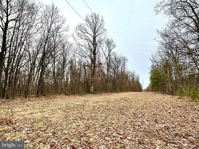 Lot 4 N Timber Ridge Rd, Cross Junction, VA 22625 - photo 5