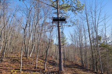 0 Hamby Ln unit 19052814, Robbins, TN 37852 - photo 3