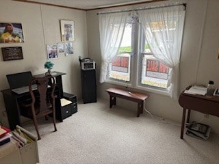 318 Cambridge Dr unit 318, Dimondale, MI 48821 - photo 4