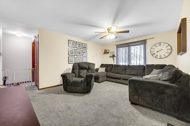 1069 Flamingo Ln, Bradley, IL 60915 - photo 4