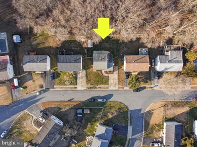 11 Evergreen Dr, Newark, DE 19702 - photo 7