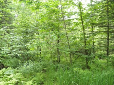 402-2 Rte 135, Dalton, NH 03598 - photo 4