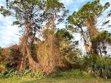 874 Crawford Ave SE, Palm Bay, FL 32909 - photo 2