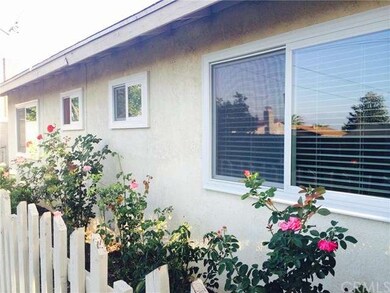 New sparkling clean windows and rose garden