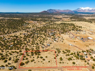 2.502 Acre Parcel