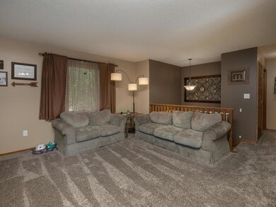 1203 1st Ave NE Kasson MN 55944 USA-004-007-Living