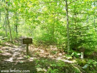 60 lot 3 Pepperbush Way, West Tisbury, MA 02568 - photo 5