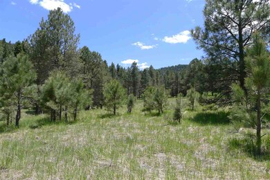 9 Copper Canyon Ct unit 12++, Cloudcroft, NM 88317 - photo 6