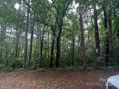 0 Laura Trace unit 1 CAR4127374, Hendersonville, NC 28792 - photo 3