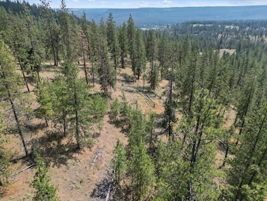 NKA Weaver Way unit Lot D of Lot 6, Deer Park, WA 99006 - photo 7