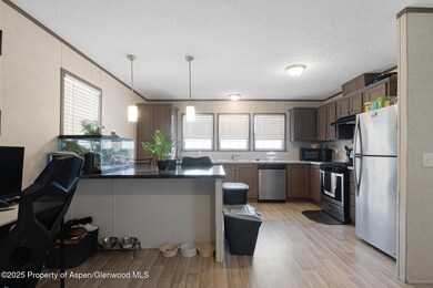 42 Silverton Place, Parachute, CO 81635 - photo 5