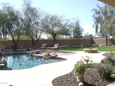backyard 2