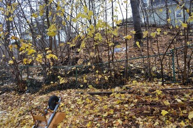 0 Fremont unit 72099081, Somerville, MA 02144 - photo 3