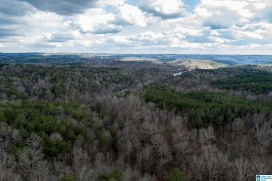 00 County Road 42 unit 141-A & 142, Calera, AL 35040 - photo 2