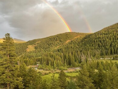 Actual view of Snake River protected wetlands and