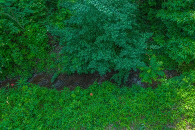 Dyer Hollow Rd 7