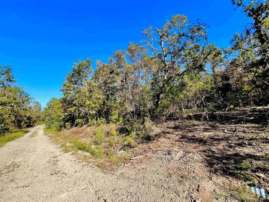 010-01589-000 Canmore Dr, Briarcliff, AR 72653 - photo 7