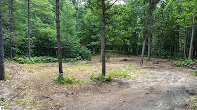 Parcel F Vans Ln, Fife Lake, MI 49633 - photo 6