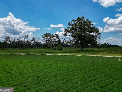 0 Nantze Springs Rd, Arlington, GA 39813 - photo 6