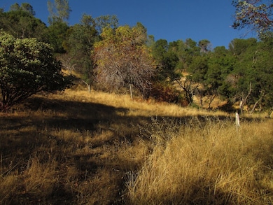 Easy walk up to lower 'show pad'.