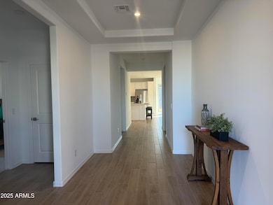 19311 W Valle Vista Way, Litchfield Park, AZ 85340 - photo 2