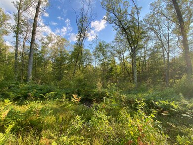 0 N Woodbridge Dr unit 22048039, Bitely, MI 49309 - photo 7