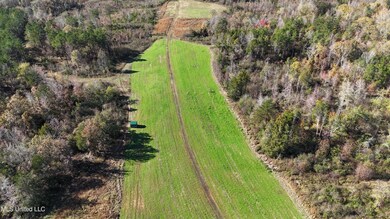 DJI_20241119130016_0107_D