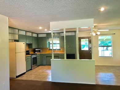 125 W Lower Crabapple Rd, Fredericksburg, TX 78624 - photo 3