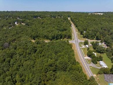 0000 Highway 52 unit 12-6-13-0-000-021.00, County, AL 35080 - photo 4